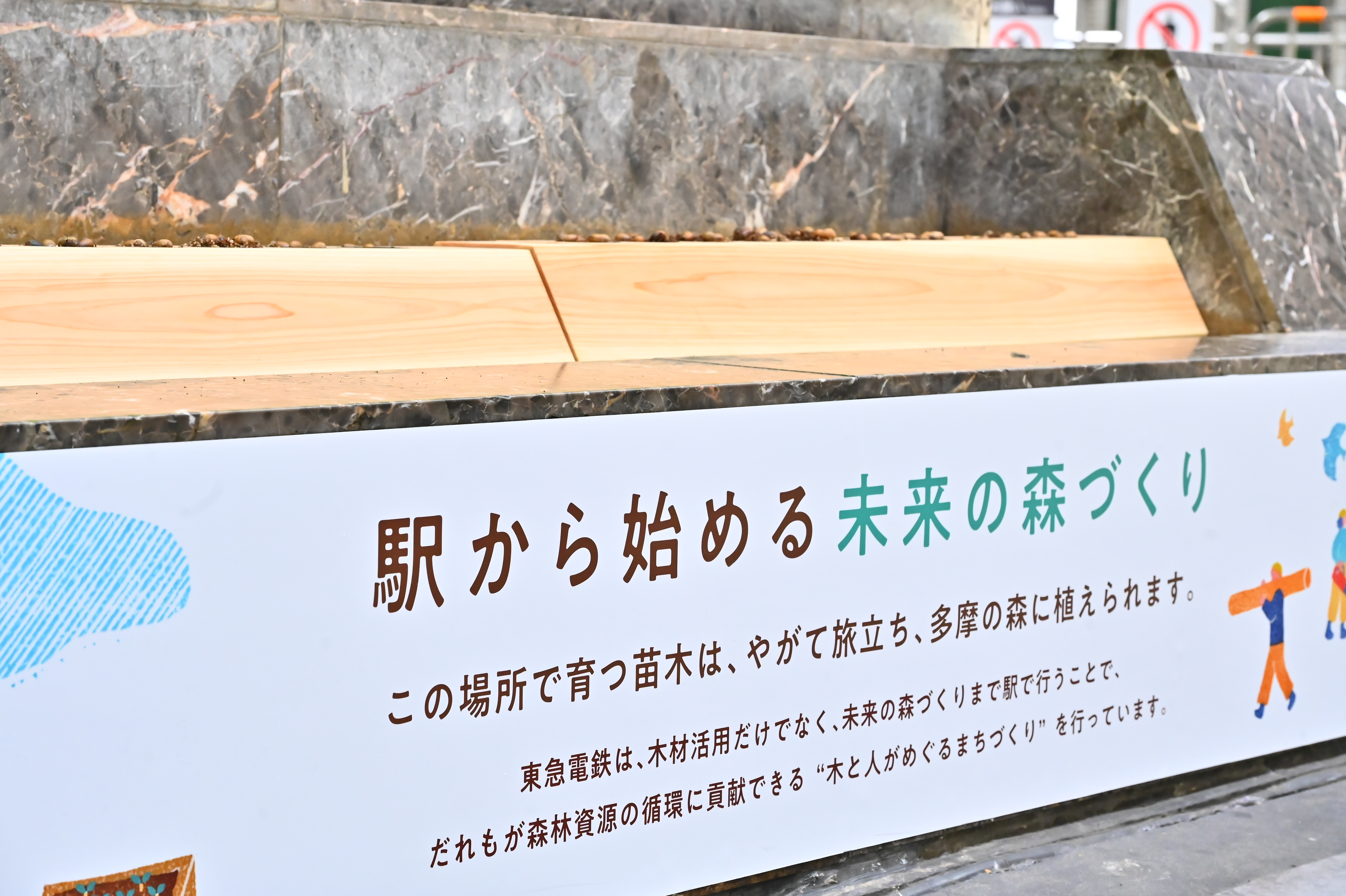 SOCIAL WOOD PROJECT画像1