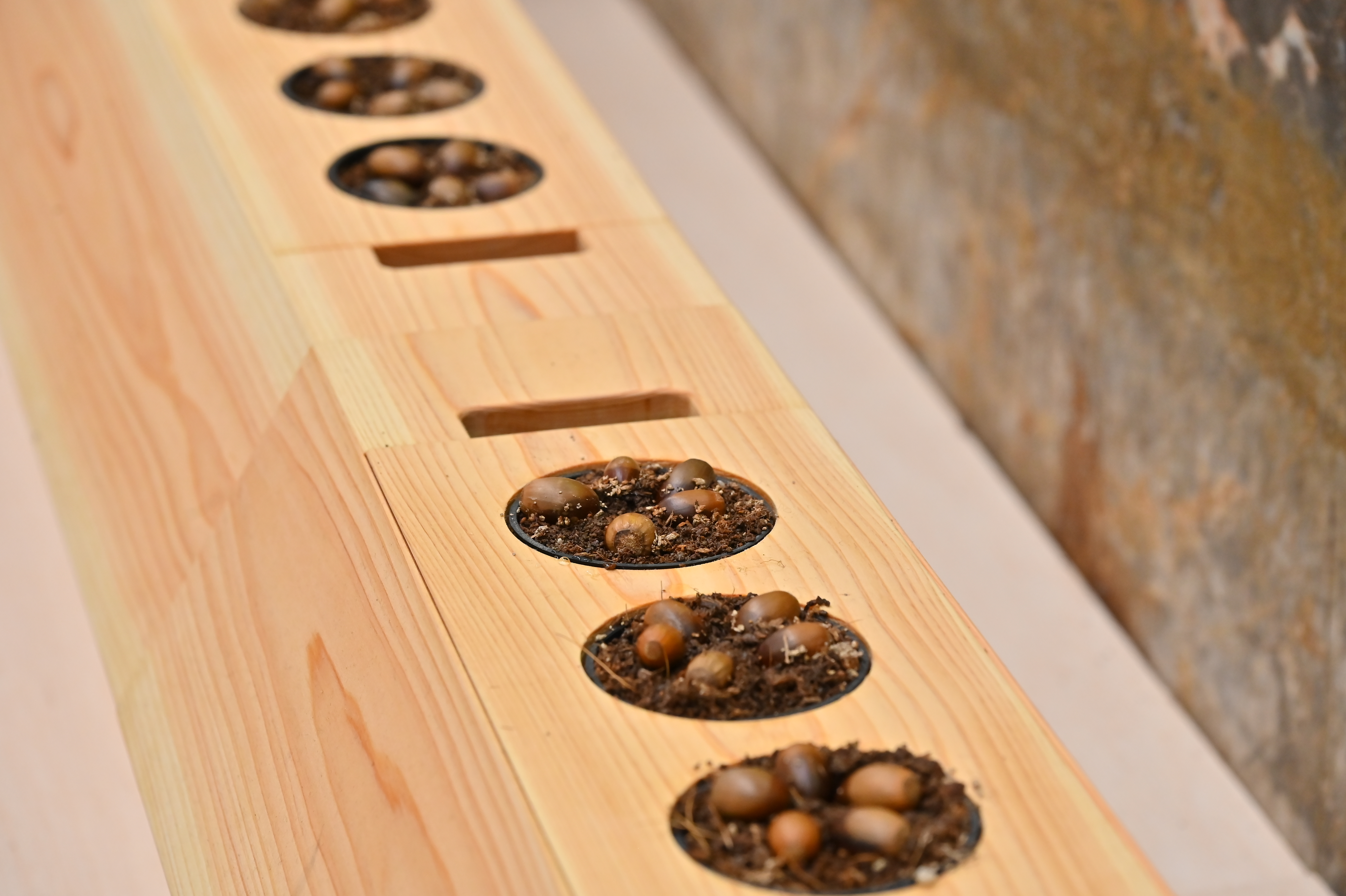 SOCIAL WOOD PROJECT画像3