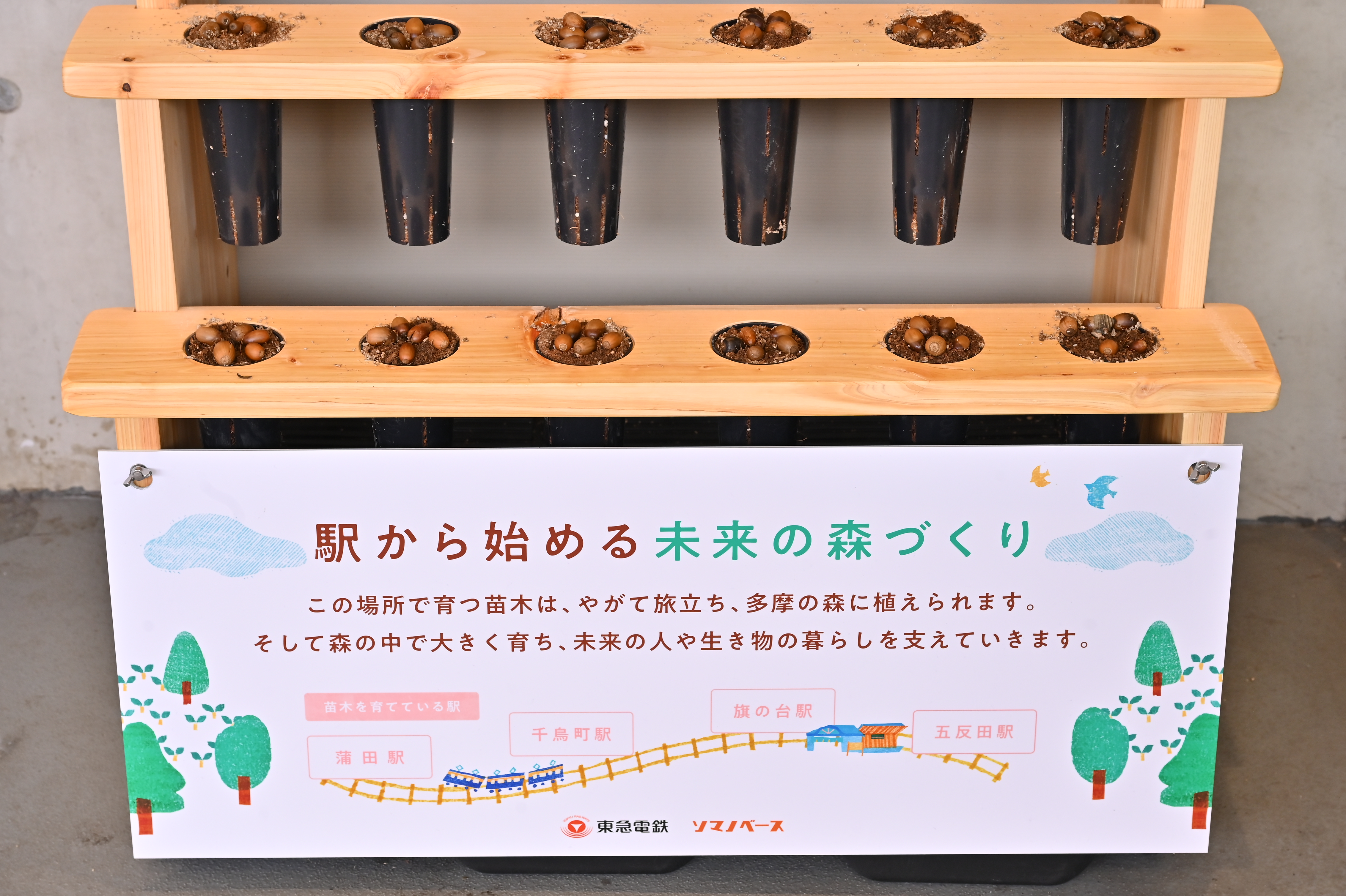 SOCIAL WOOD PROJECT画像4
